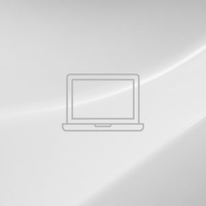 Servizio di Fastera Swiss: ACCESSO DA REMOTO OGIBridge®
