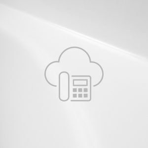 Centralini VoIP in Cloud Servizio di Fastera Swiss