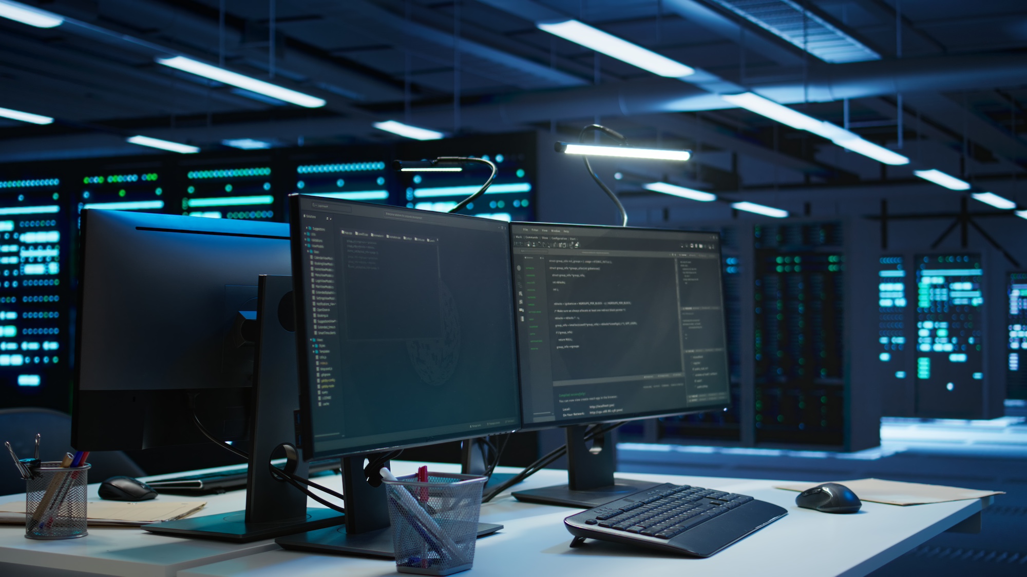 Sviluppo Software Personalizzato in Ticino