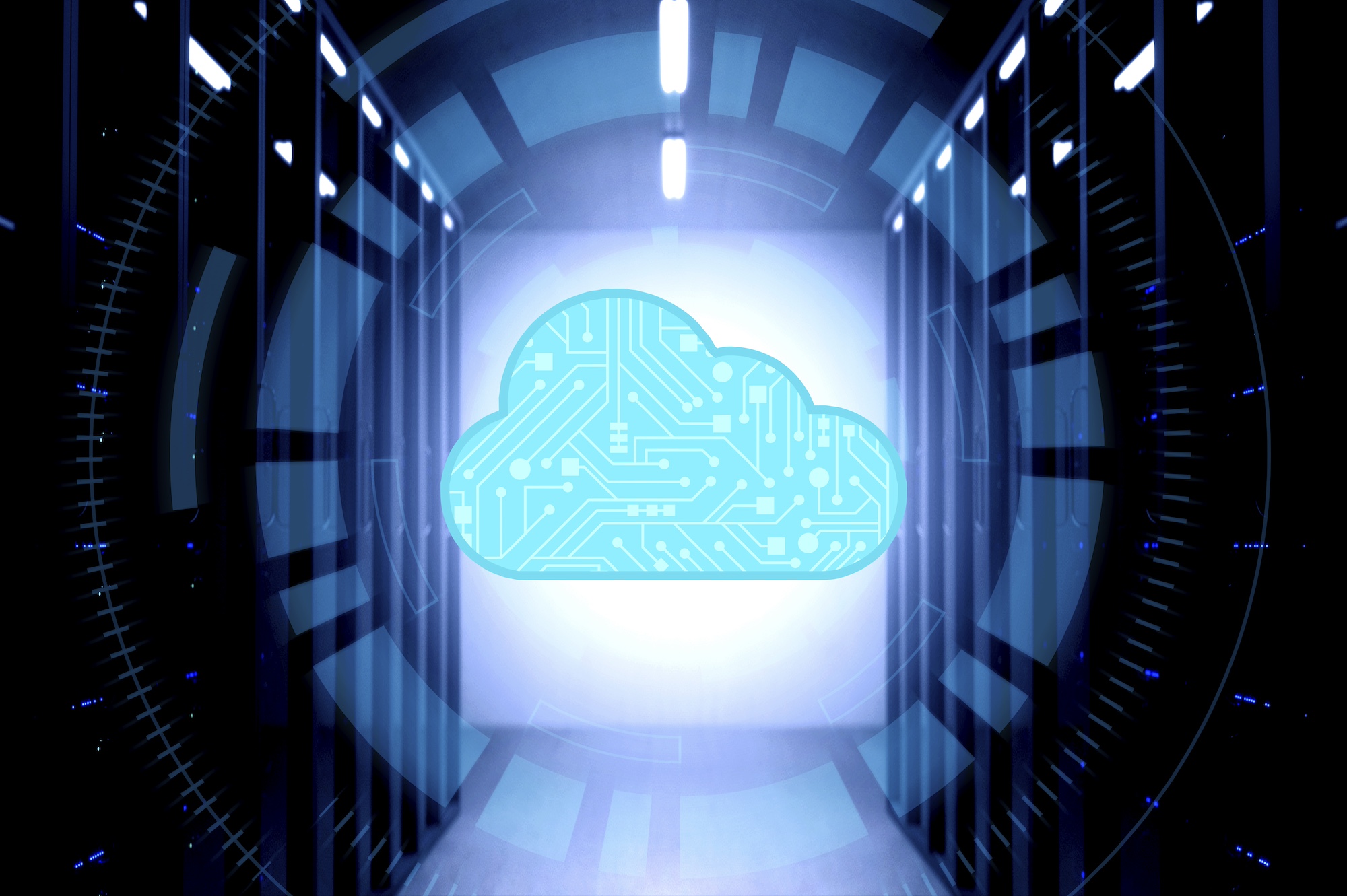 Private Virtual Server in Ticino